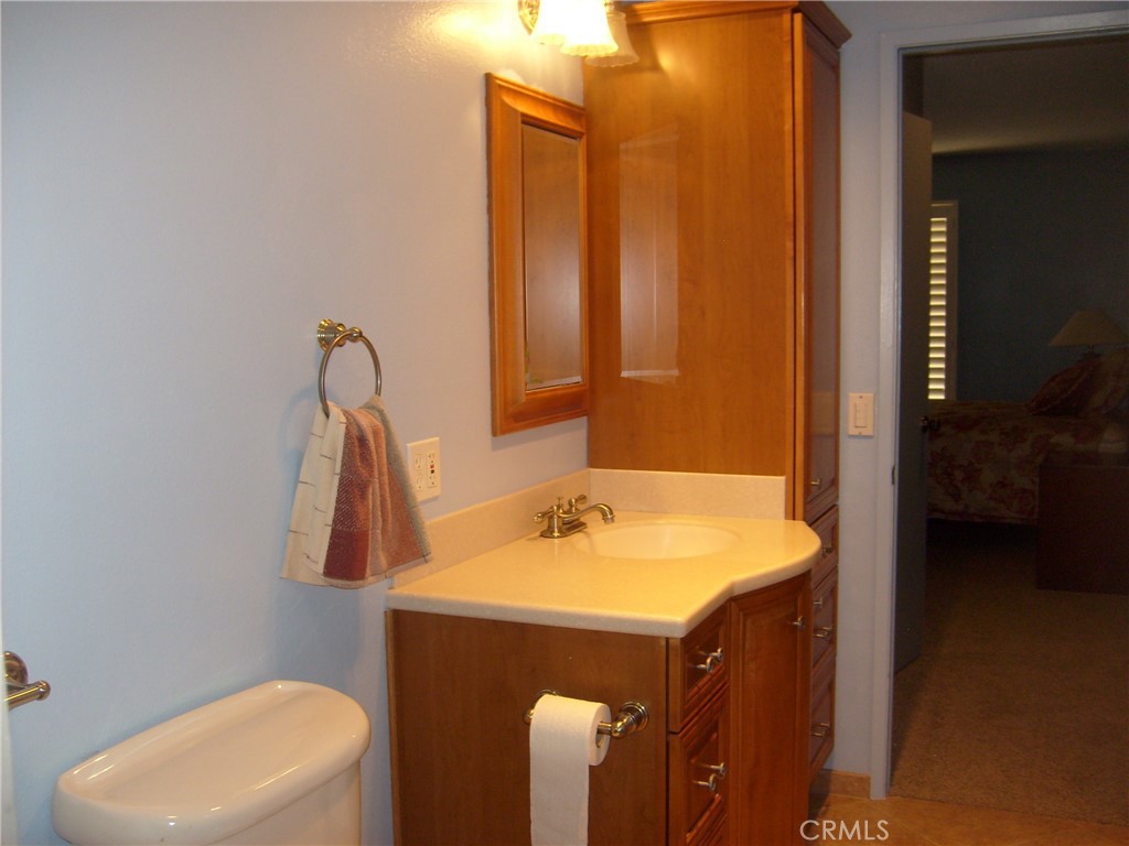 1915 Silver Oak Way Hemet, CA 92545 - Photo 11 of 18 Primary Bathroom