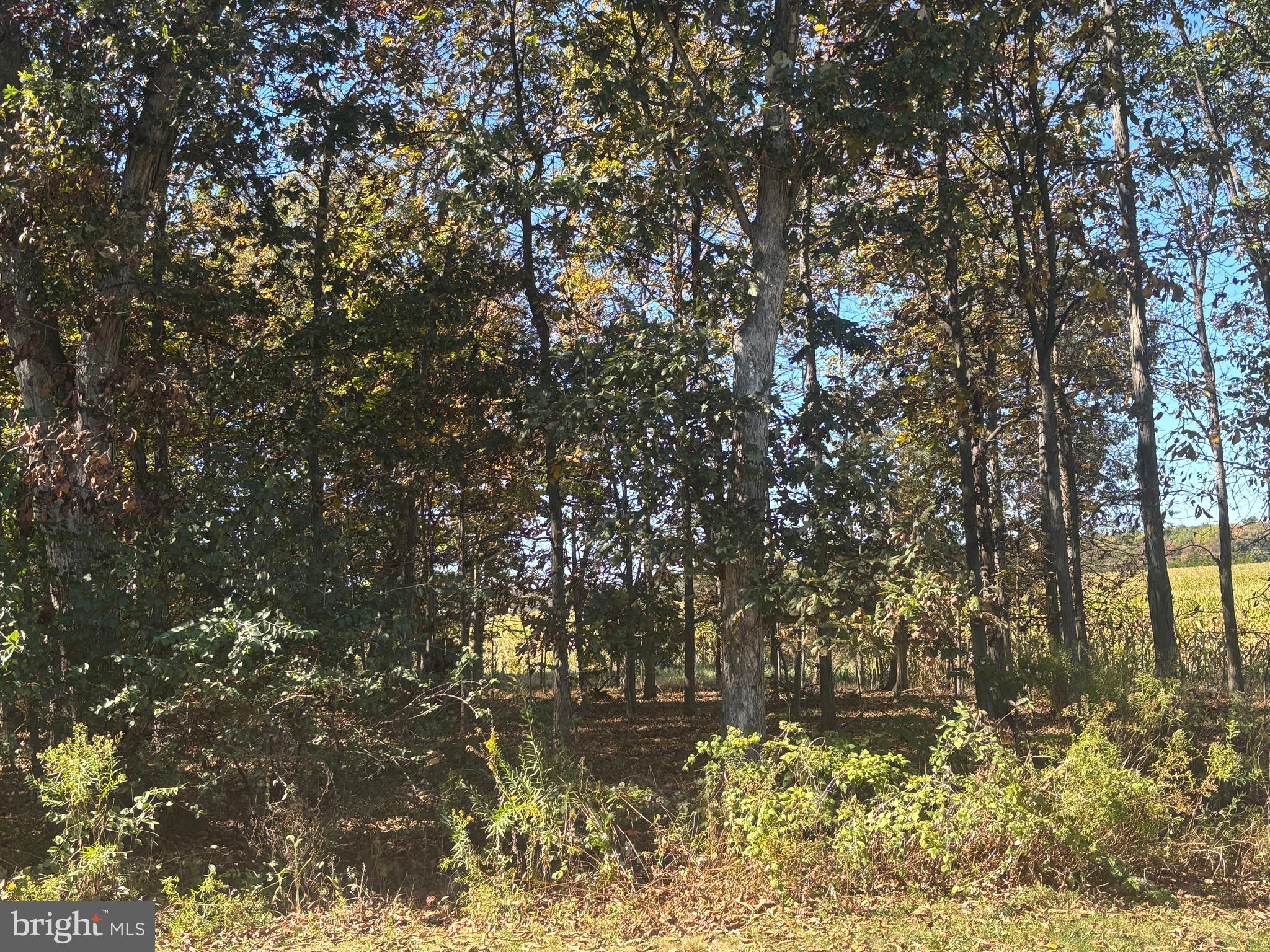 140 West Reynolds Road New Oxford, PA 17350 - Photo 108 of 132