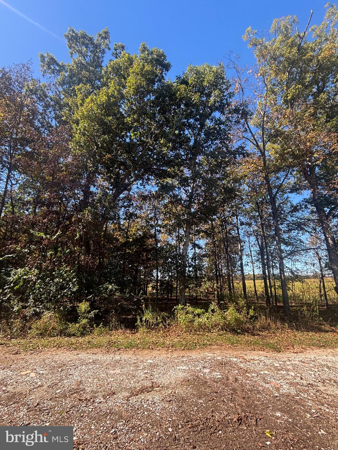 140 West Reynolds Road New Oxford, PA 17350 - Photo 109 of 132