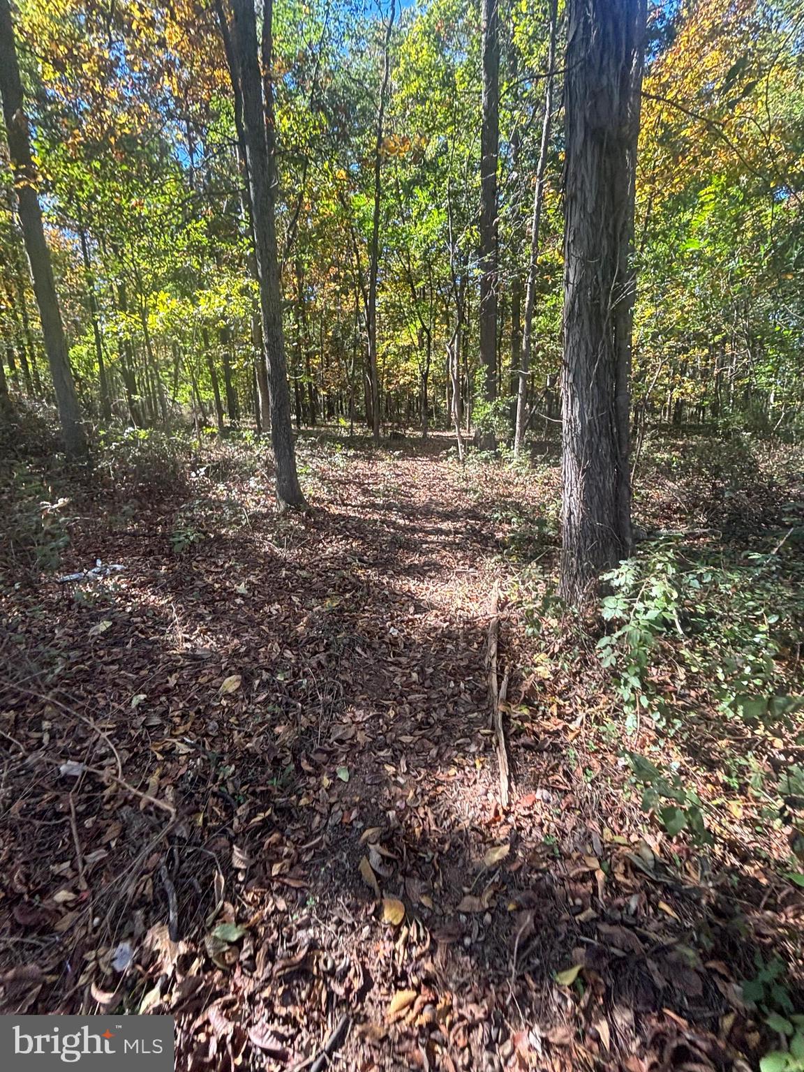 140 West Reynolds Road New Oxford, PA 17350 - Photo 110 of 132 a view of outdoor space and trees