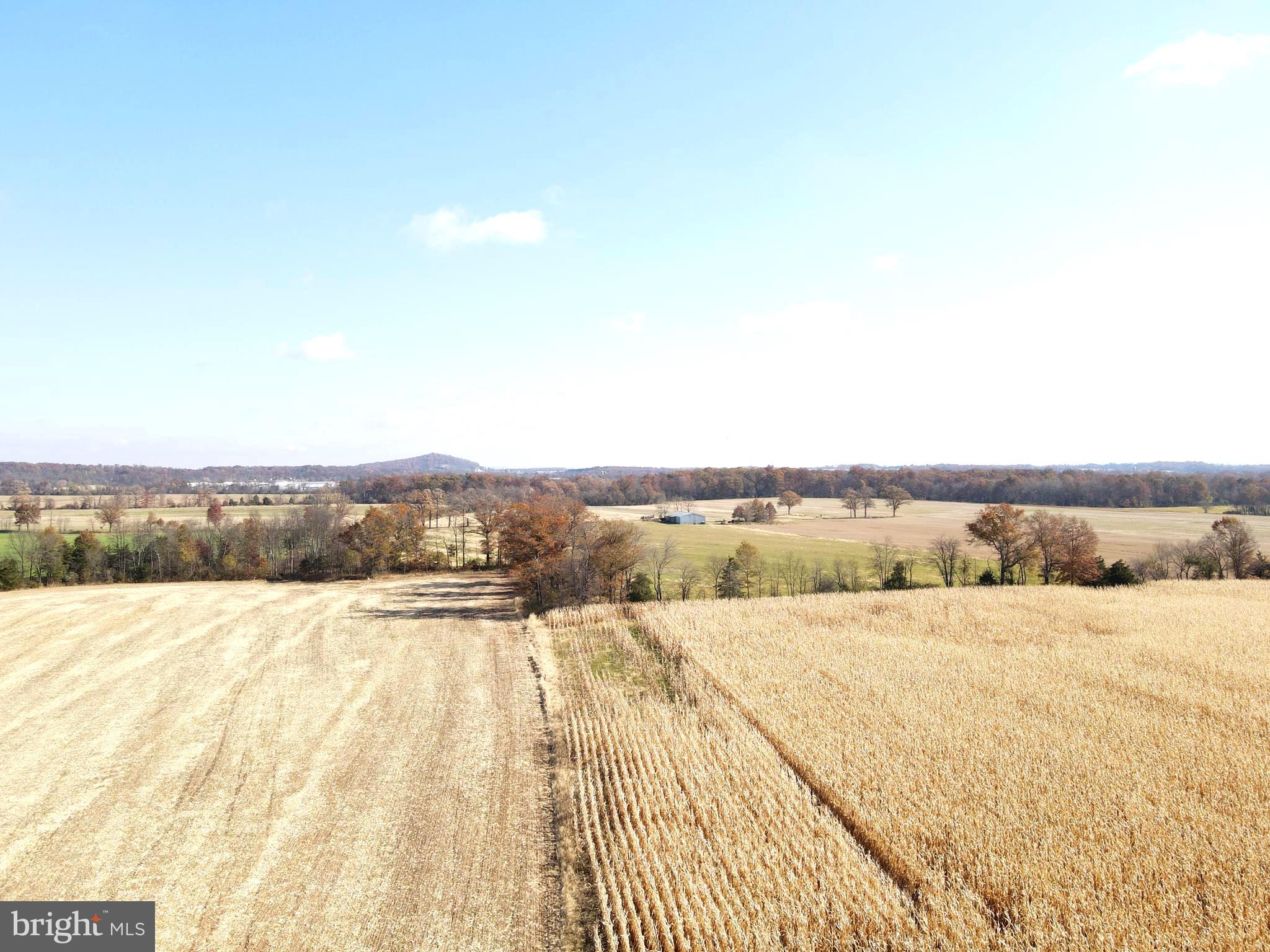 140 West Reynolds Road New Oxford, PA 17350 - Photo 4 of 150