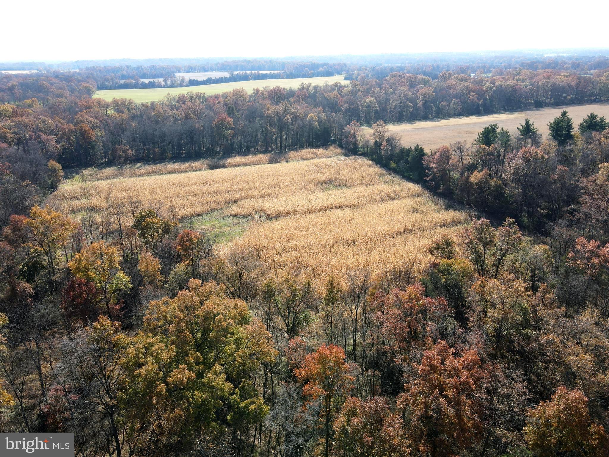 140 West Reynolds Road New Oxford, PA 17350 - Photo 44 of 150