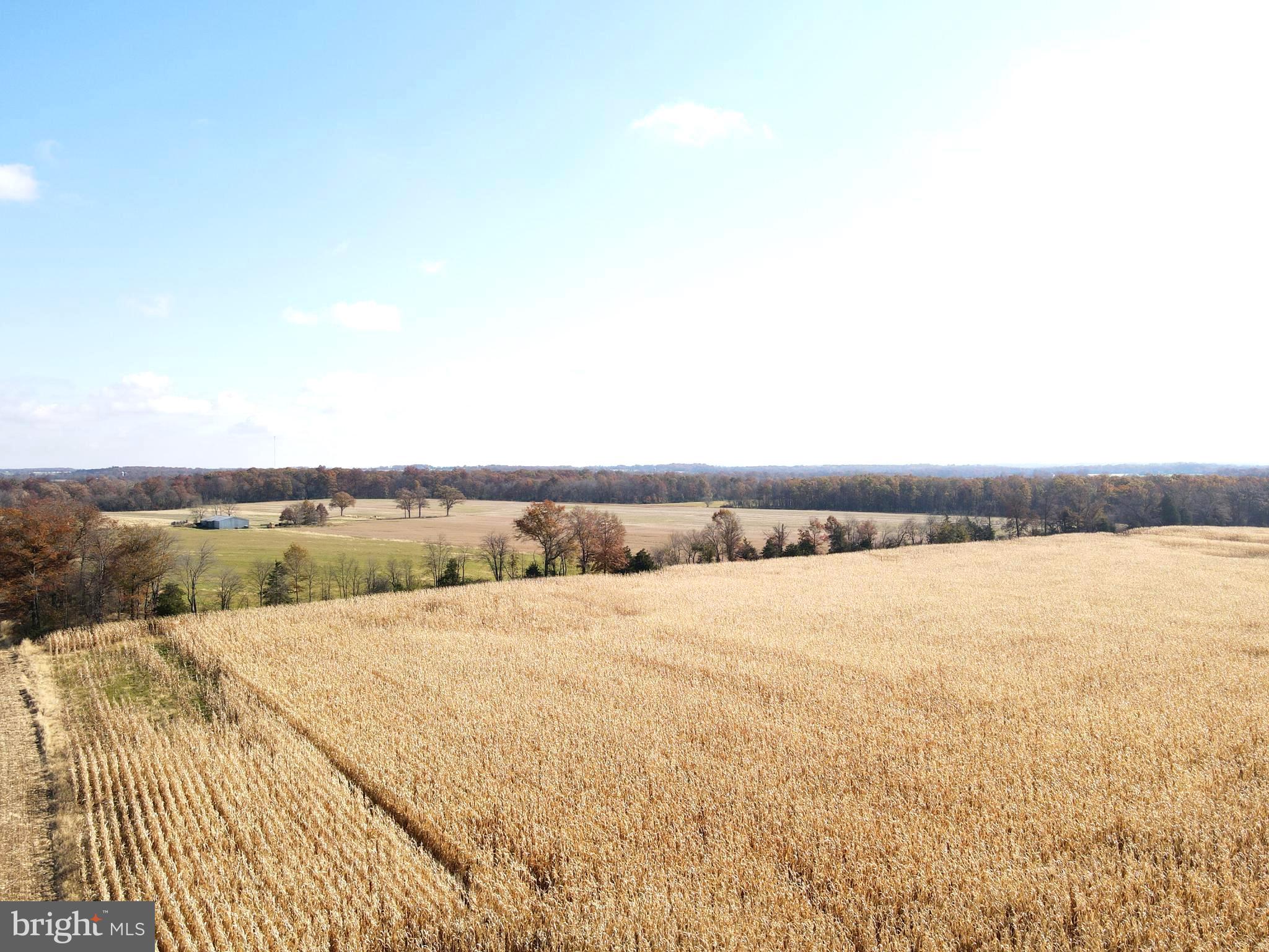 140 West Reynolds Road New Oxford, PA 17350 - Photo 5 of 150