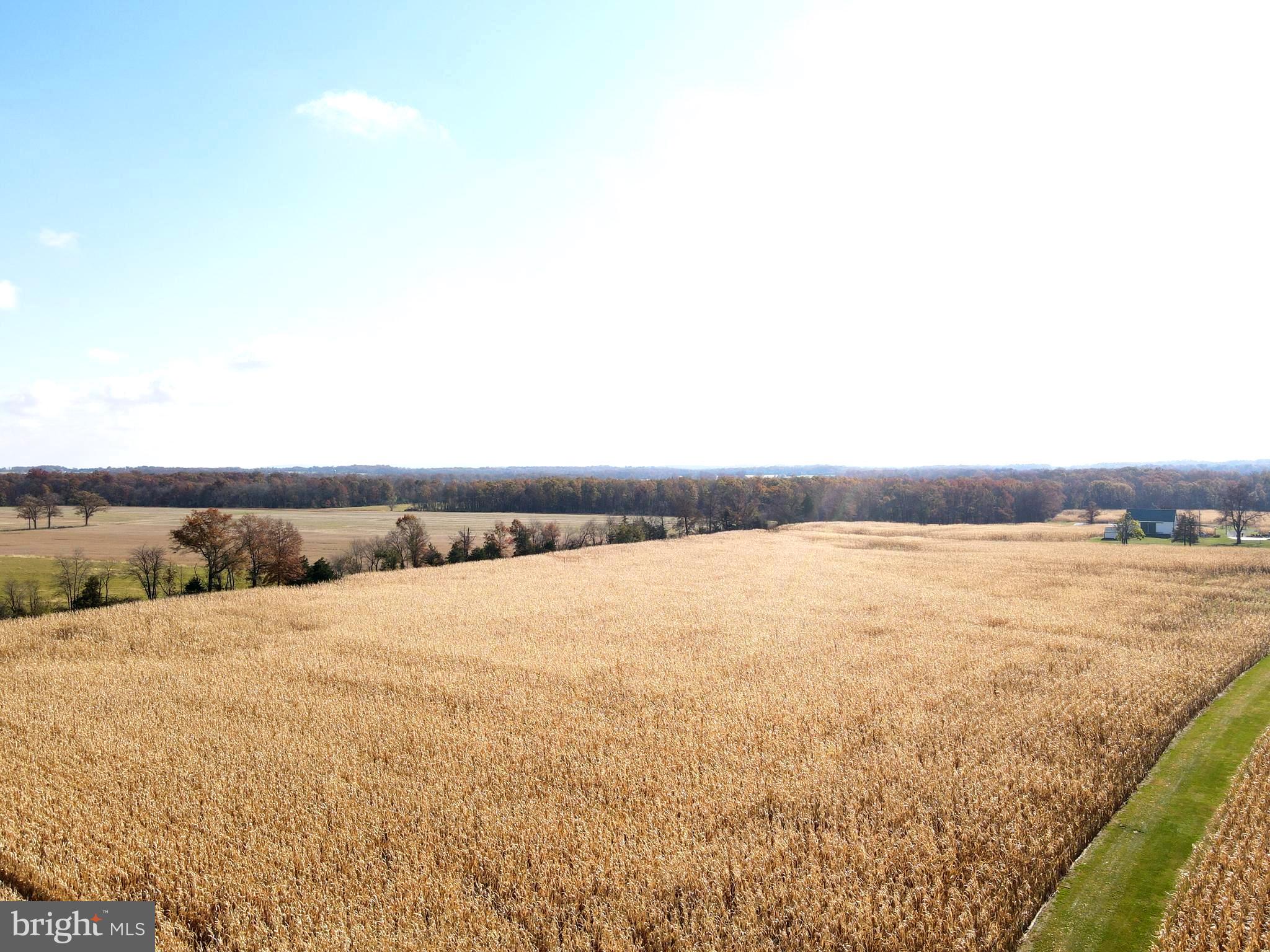 140 West Reynolds Road New Oxford, PA 17350 - Photo 6 of 150