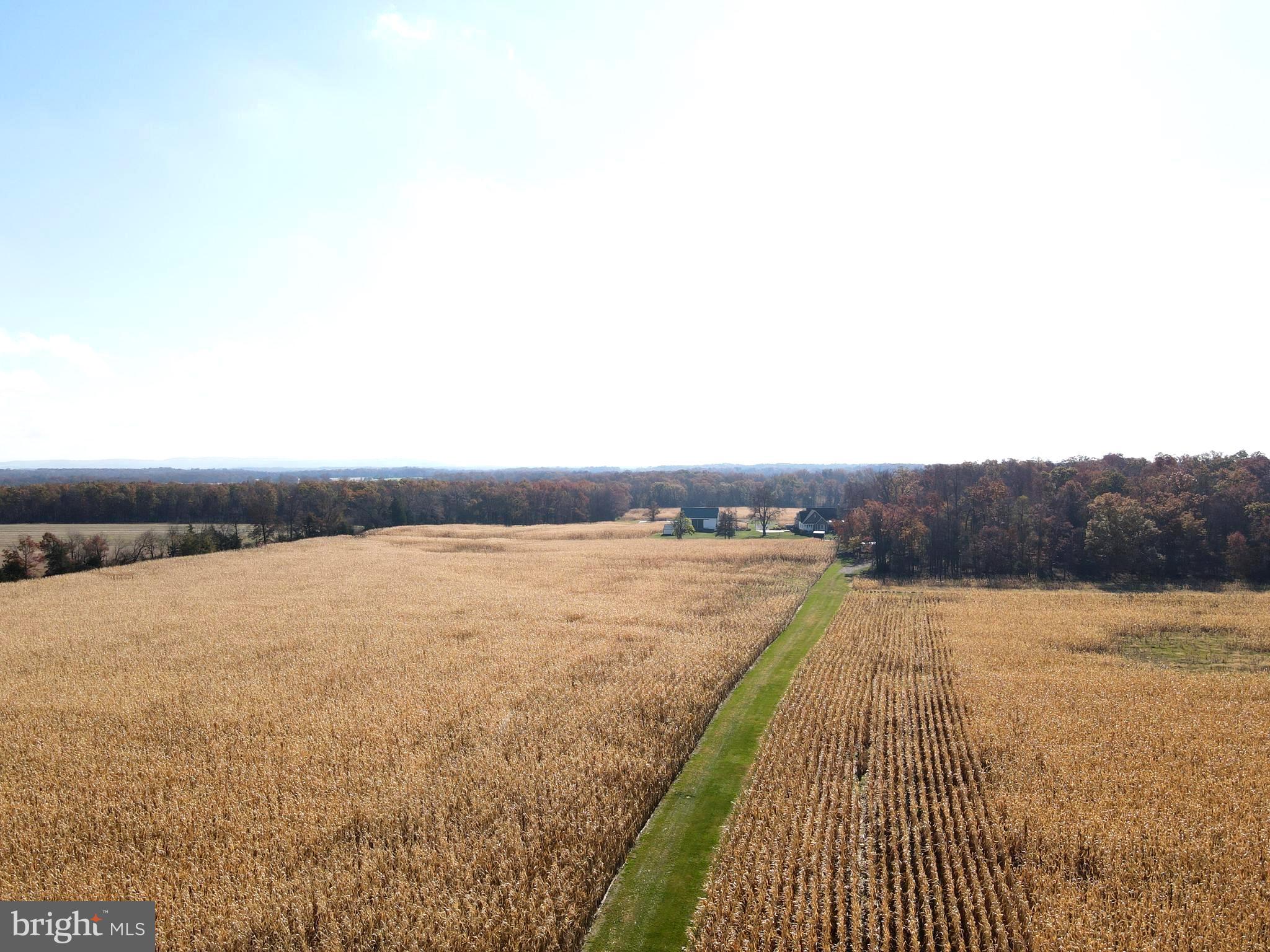 140 West Reynolds Road New Oxford, PA 17350 - Photo 7 of 150