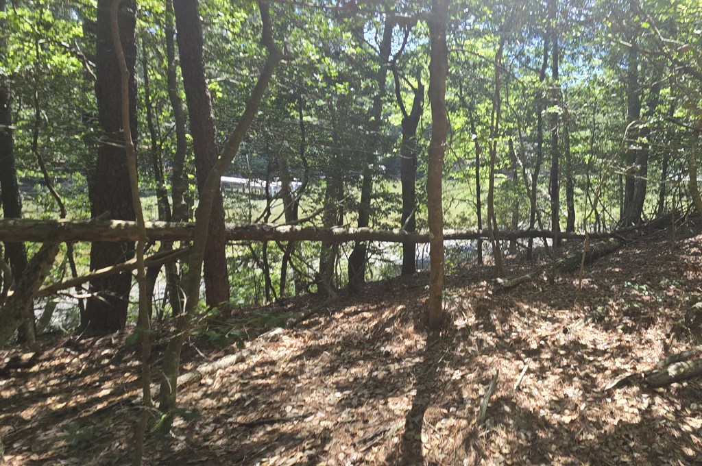 Lot B4 Saltworks Road, Unit B Exmore, VA 23350 - Photo 6 of 11