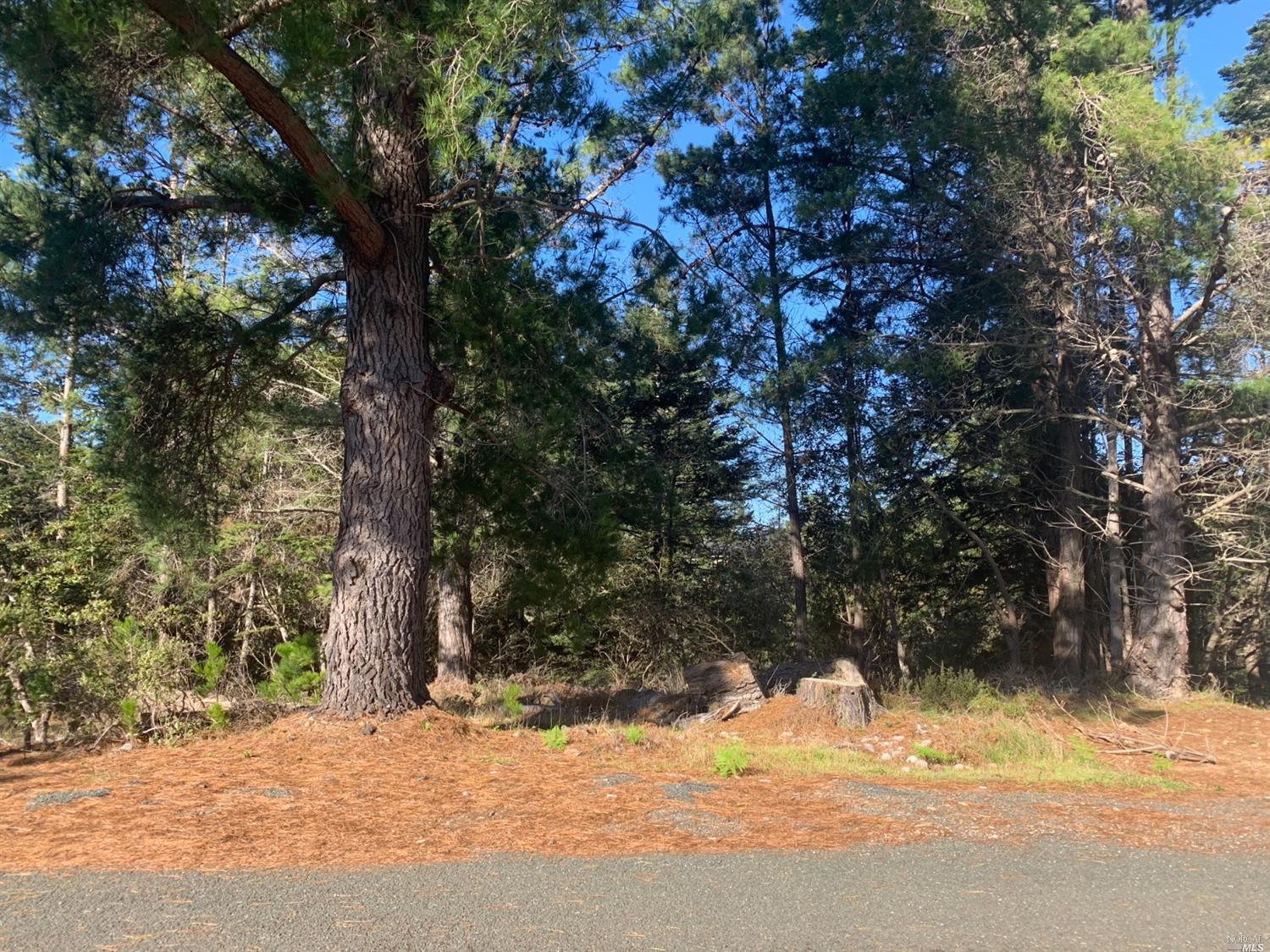 15731 Forest View Road Manchester, CA 95459 - Photo 1 of 1 Gallery Image 1