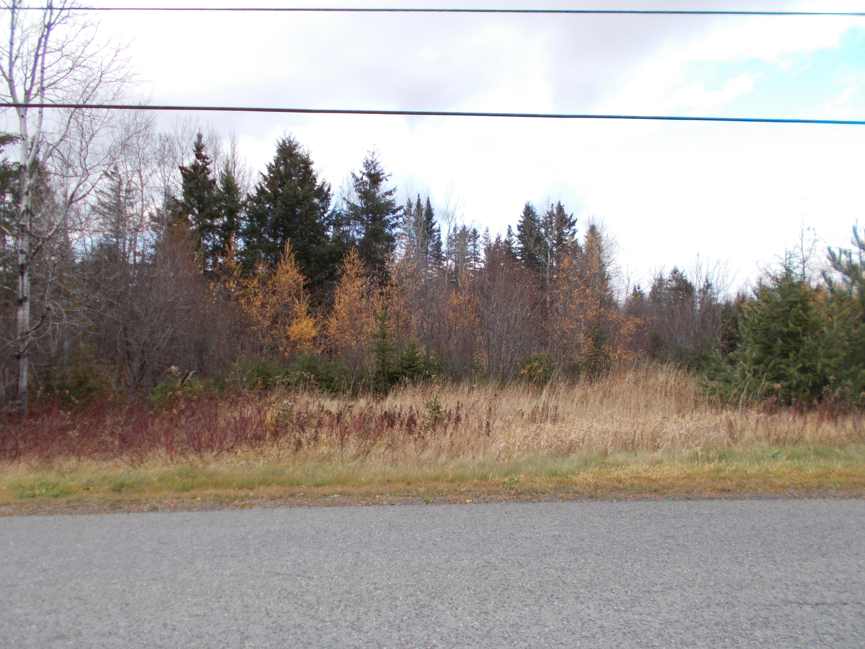Lot 33 Colby Siding Road Woodland, ME 04736 - Photo 2 of 4 DSCN9179