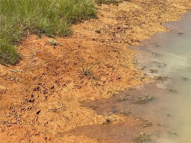 a view of beach and covered with fog