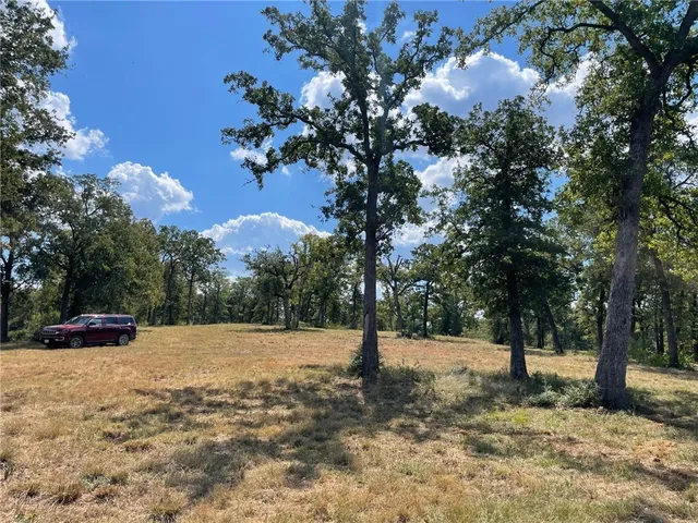 a view of outdoor space with trees