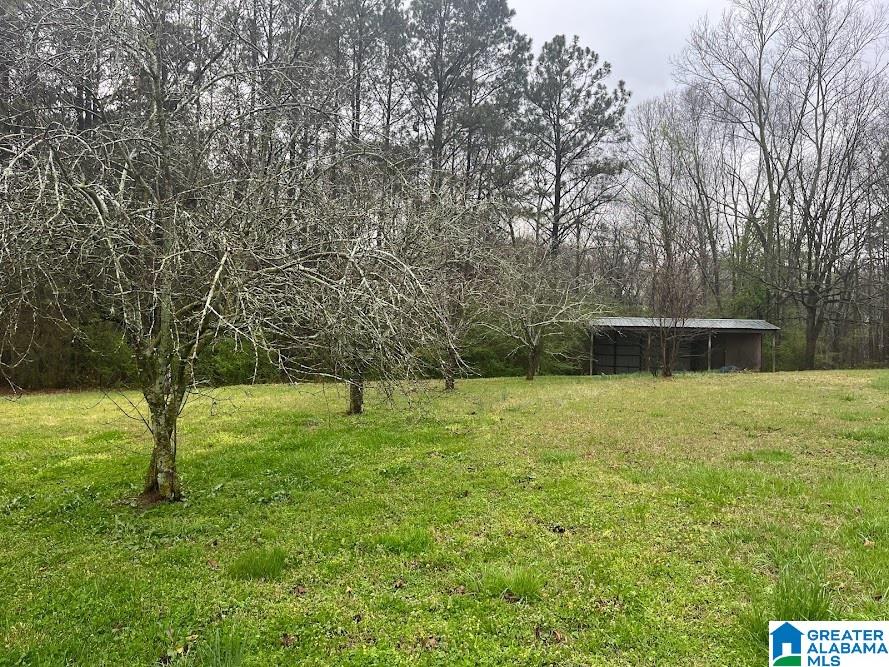 1570 County Road 656 Ranburne, AL 36273 - Photo 27 of 43