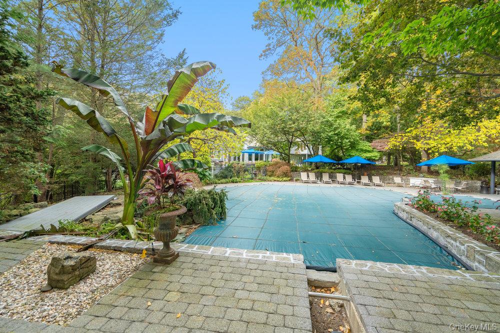 8 Forest Court Syosset, NY 11791 - Photo 30 of 40 View of gunite saltwater pool with spa and multiple specimen plantings