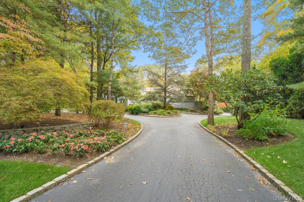 8 Forest Court Syosset, NY 11791 - Photo 40 of 40 View of tree lined driveway with extensive specimen plantings