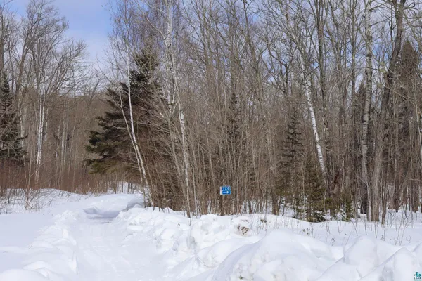 $100,000 | 728 Caspers Hill, Grand Marais, MN 55604