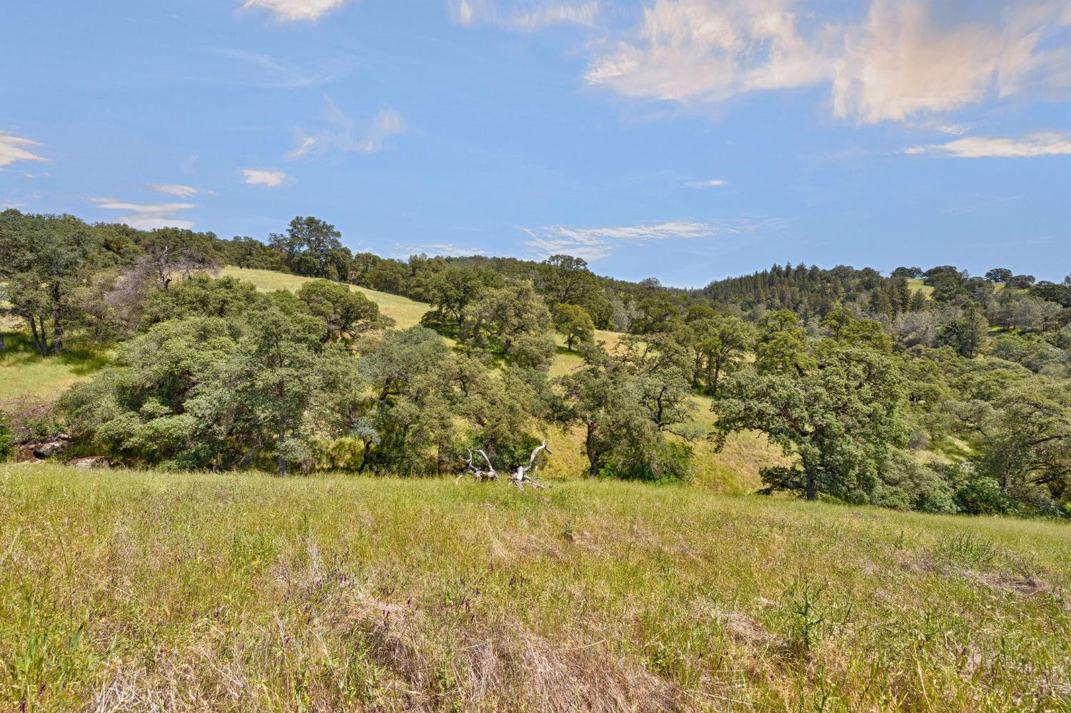 0 Bayne Road Garden Valley, CA 95633 - Photo 45 of 67 Gallery Image 45