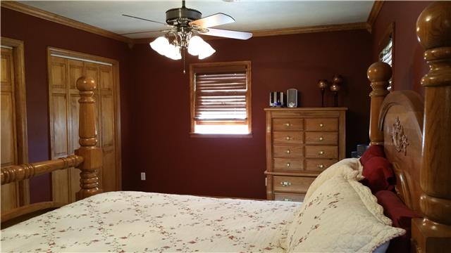 9035 Alex Goins Road Lyles, TN 37098 - Photo 12 of 20 Cozy master bedroom with double closets and access to master bath.