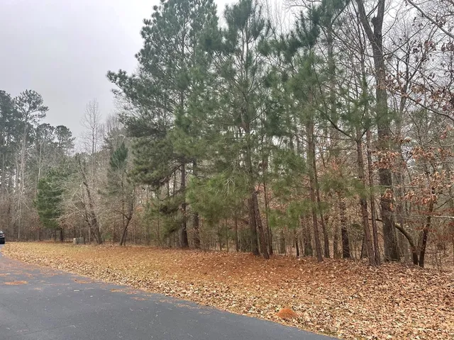 $85,000 | Lot 18 South Pointe Court, Tignall, GA 30668