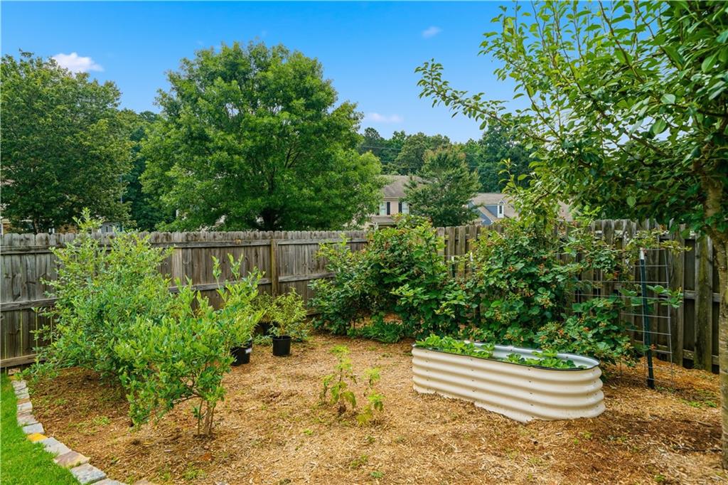 233 Manous Way Canton, GA 30115 - Photo 44 of 67