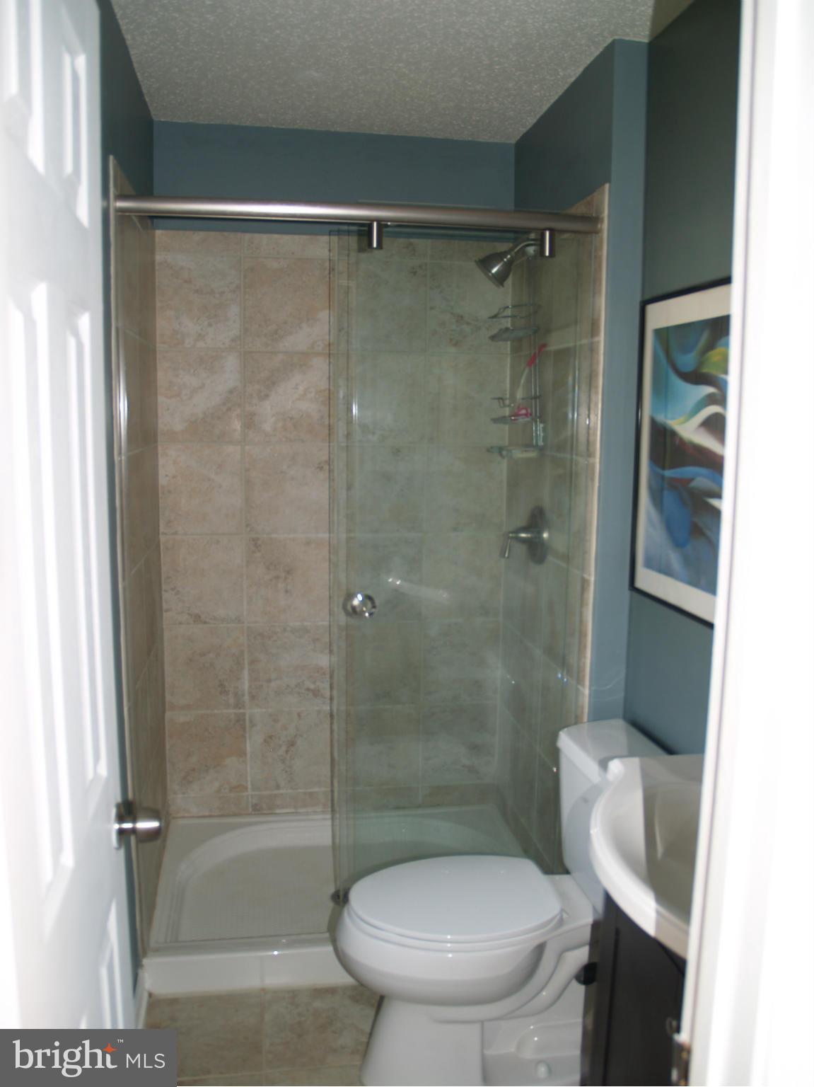 4607 Feldspar Road Middletown, MD 21769 - Photo 14 of 22 a bathroom with a shower and a toilet
