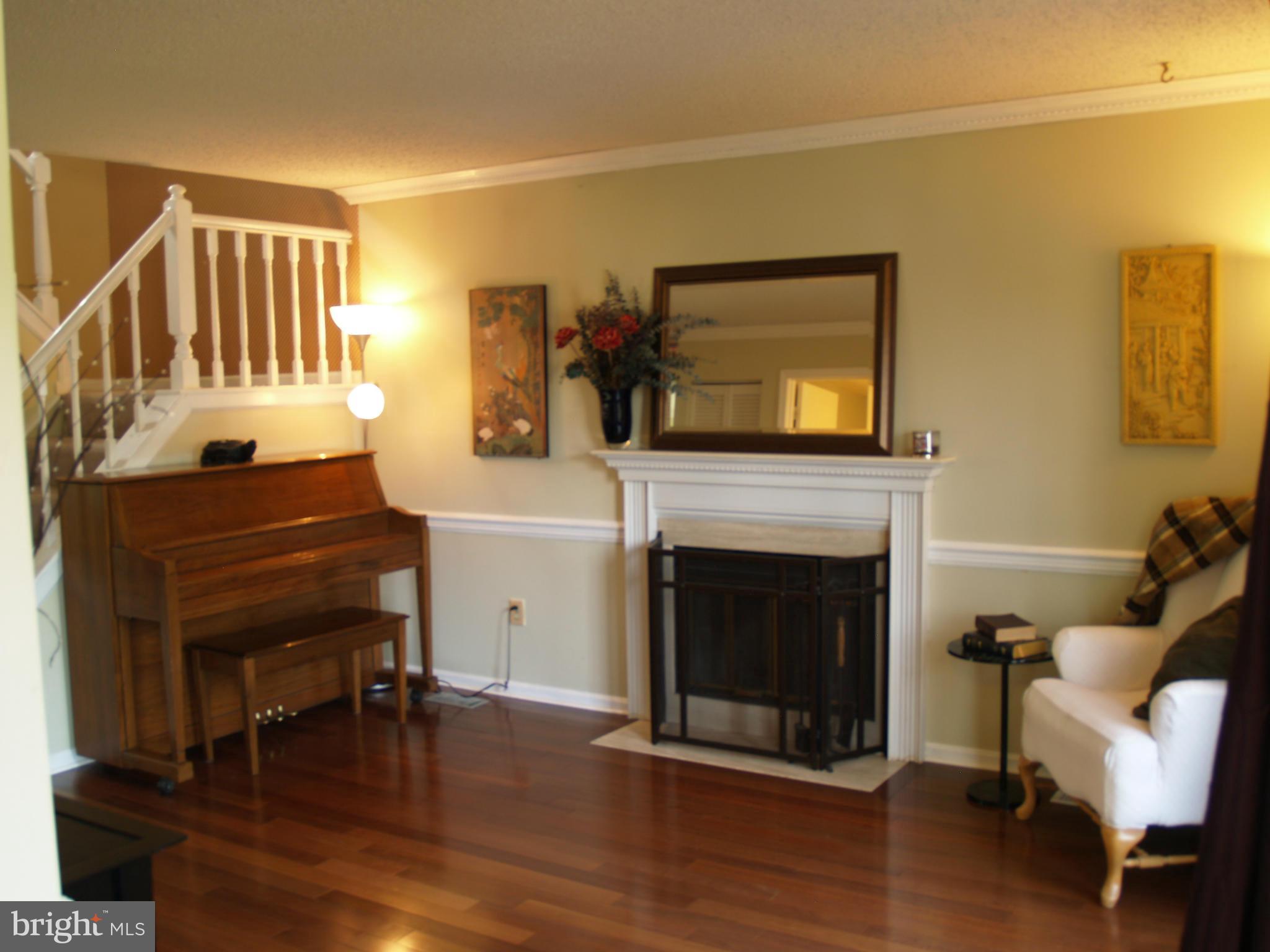 4607 Feldspar Road Middletown, MD 21769 - Photo 3 of 22 a living room with furniture and a fireplace