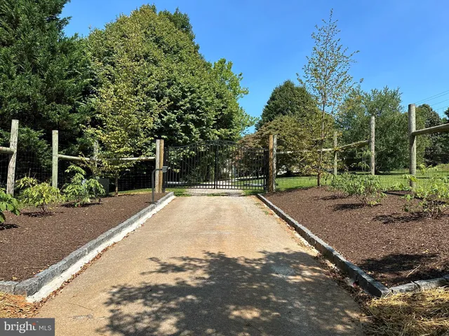 a view of a backyard with large trees
