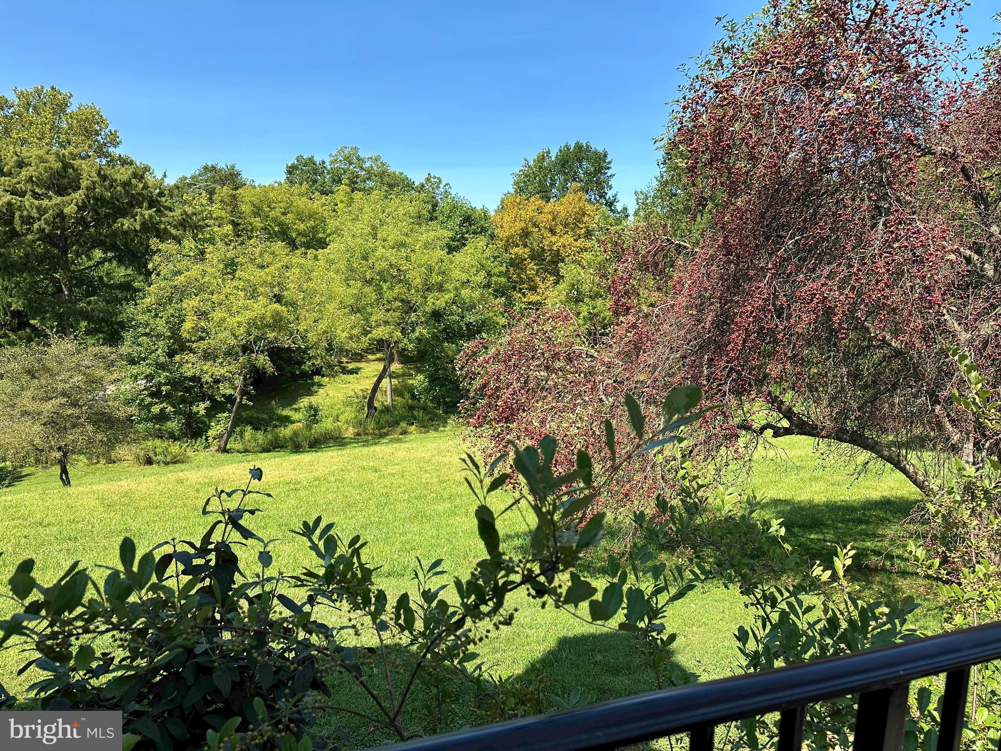 619 East Hillendale Road Chadds Ford, PA 19317 - Photo 24 of 24 View from paqtio