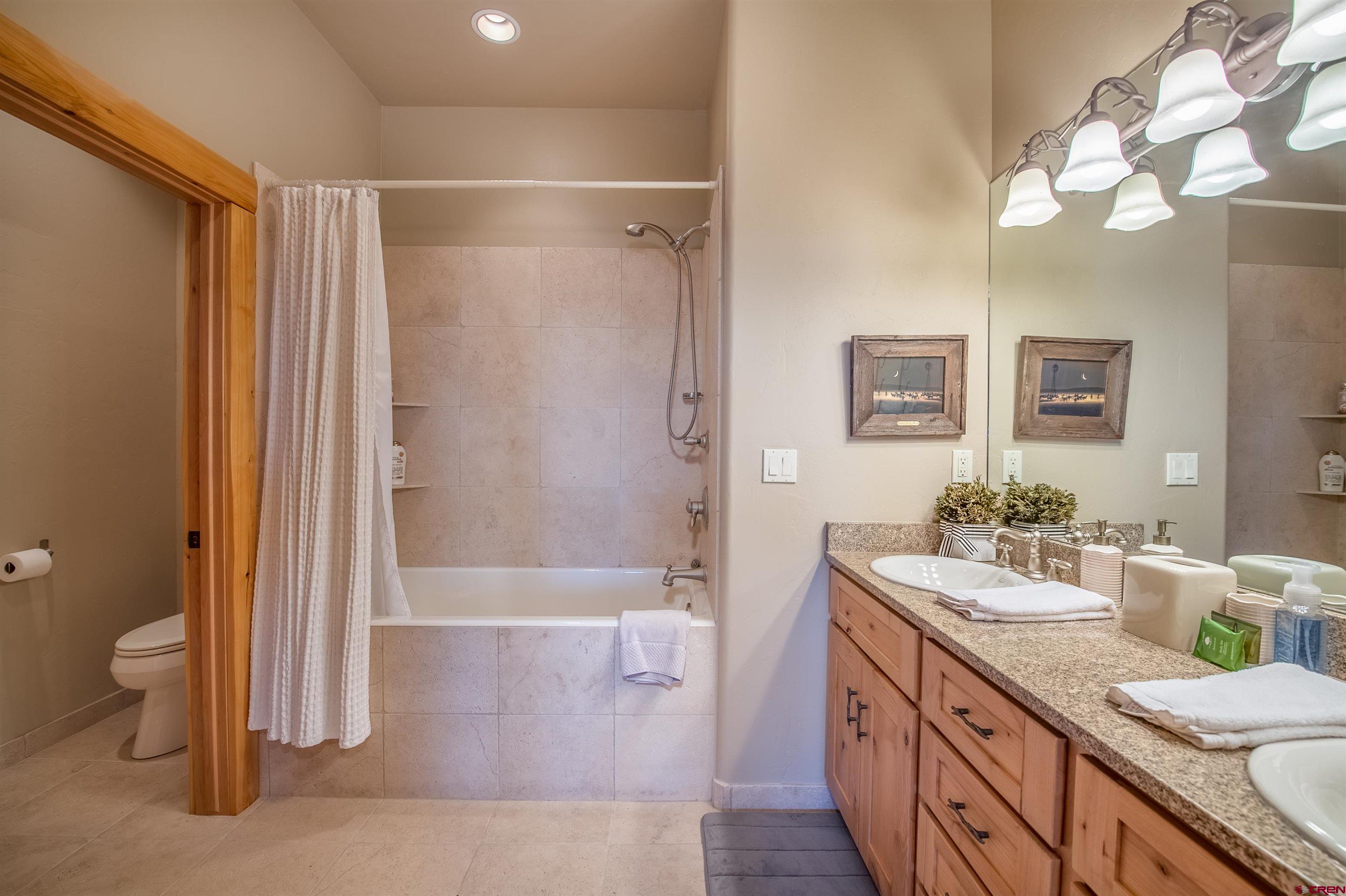 1894 Red Mountain Ranch Road Crested Butte, CO 81224 - Photo 23 of 34 a bathroom with a granite countertop sink a toilet and shower