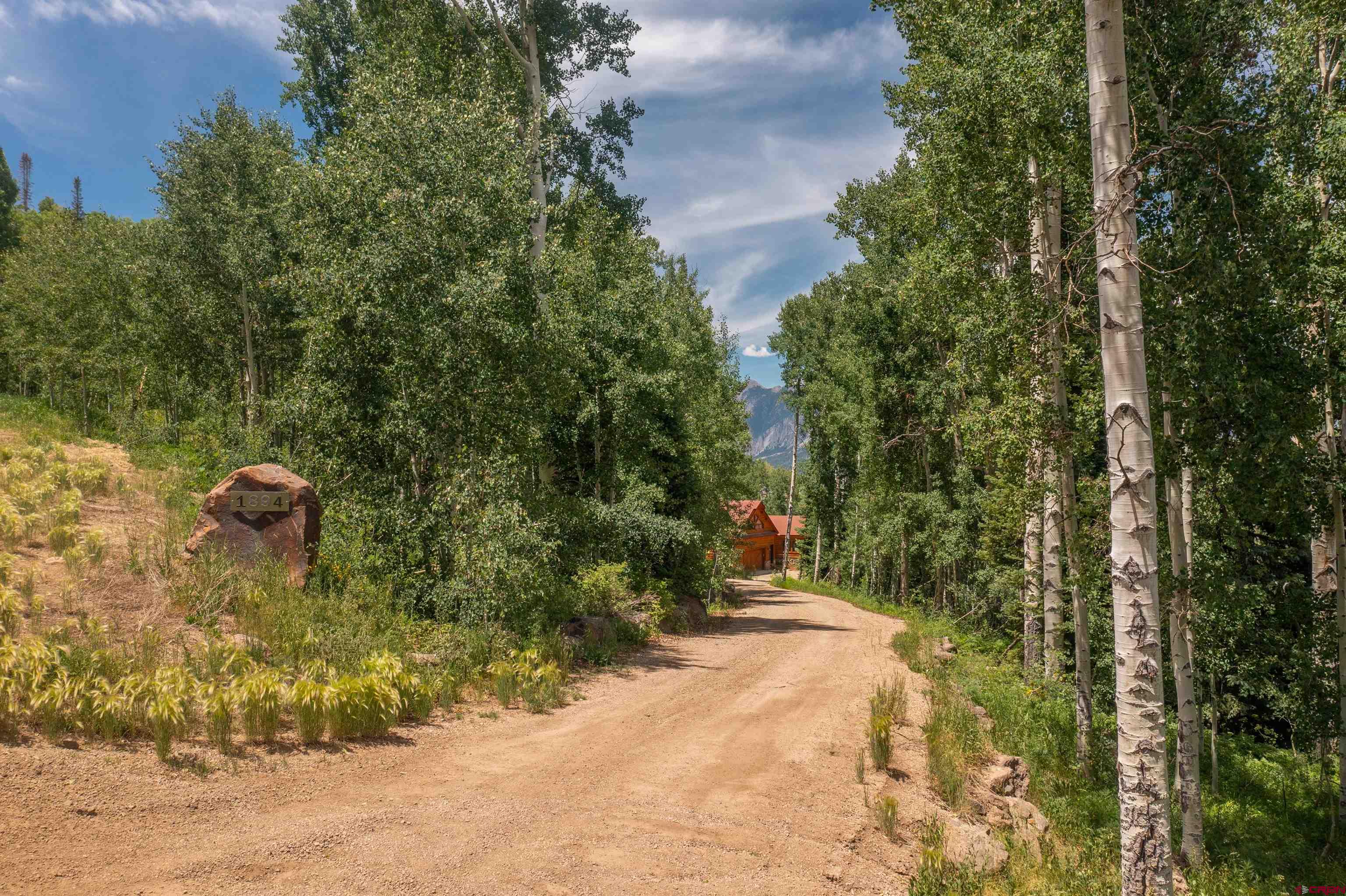 1894 Red Mountain Ranch Road Crested Butte, CO 81224 - Photo 31 of 34 a view of a street with a trees