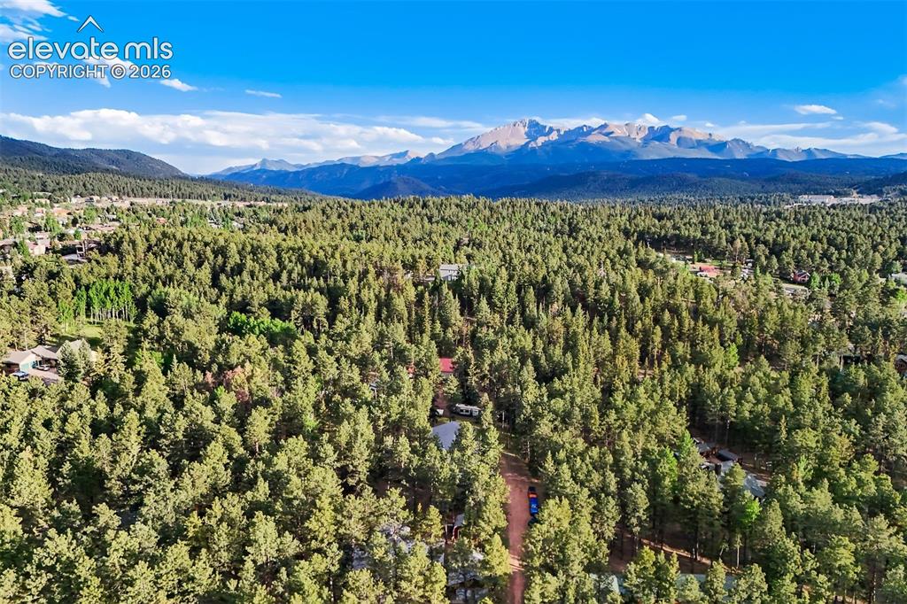 167 West Kelly Road Woodland Park, CO 80863 - Photo 49 of 50