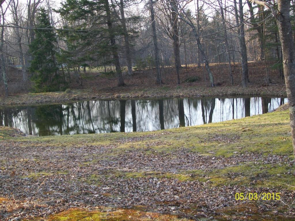 3833 Mariaville Road Ellsworth, ME 04605 - Photo 2 of 29 Photo