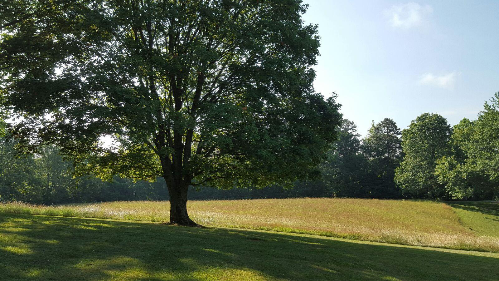 131 Black Oak Road Clinton, TN 37716 - Photo 9 of 10 20150605_090529