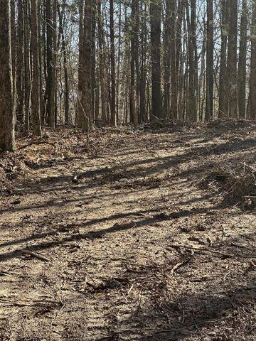 5 Northwest Lower River Road, Unit LOT 5 Charleston, TN 37310 - Photo 3 of 5 20231212002825128026000000-o