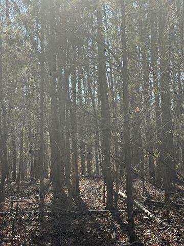 5 Northwest Lower River Road, Unit LOT 5 Charleston, TN 37310 - Photo 4 of 5 20231212002827004399000000-o