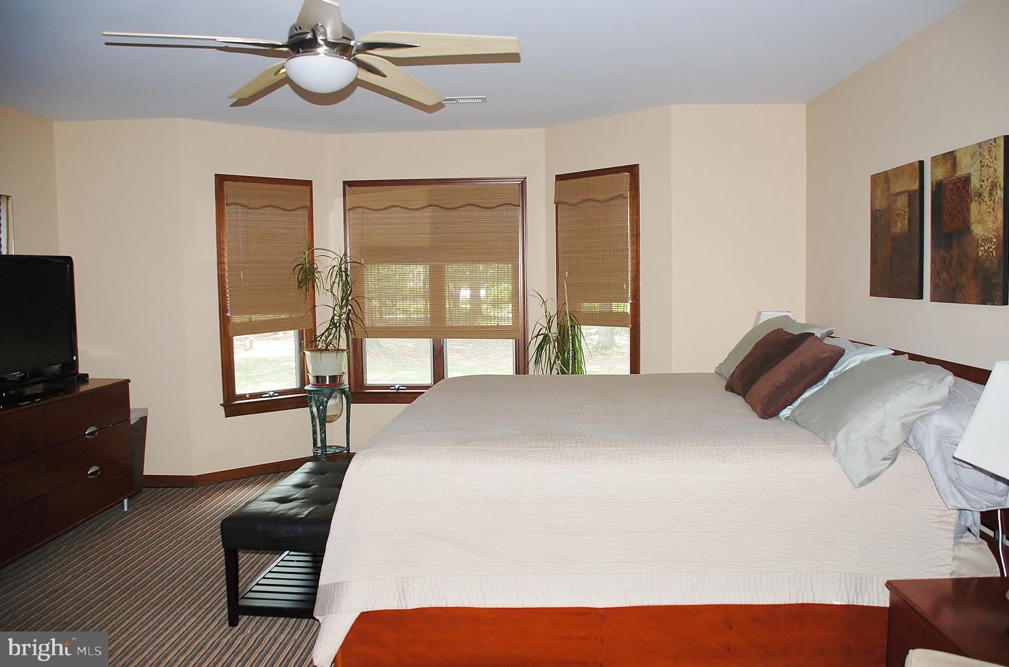 15446 Norman Road Culpeper, VA 22701 - Photo 129 of 146 Master bedroom