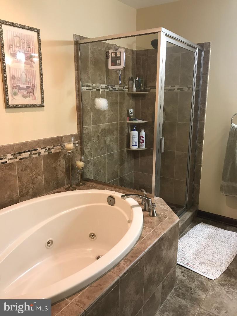 15446 Norman Road Culpeper, VA 22701 - Photo 132 of 146 Master bath with sep tub and shower