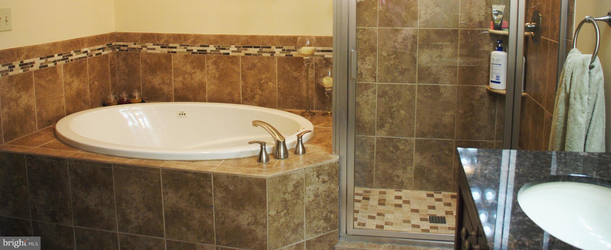15446 Norman Road Culpeper, VA 22701 - Photo 133 of 146 Seperate tub and shower in master bath