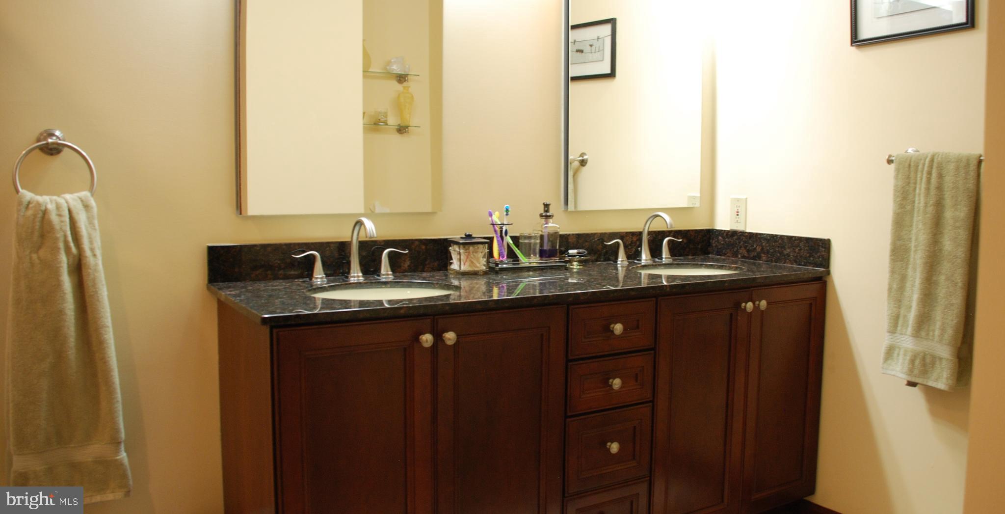 15446 Norman Road Culpeper, VA 22701 - Photo 134 of 146 Double vanity in master bath