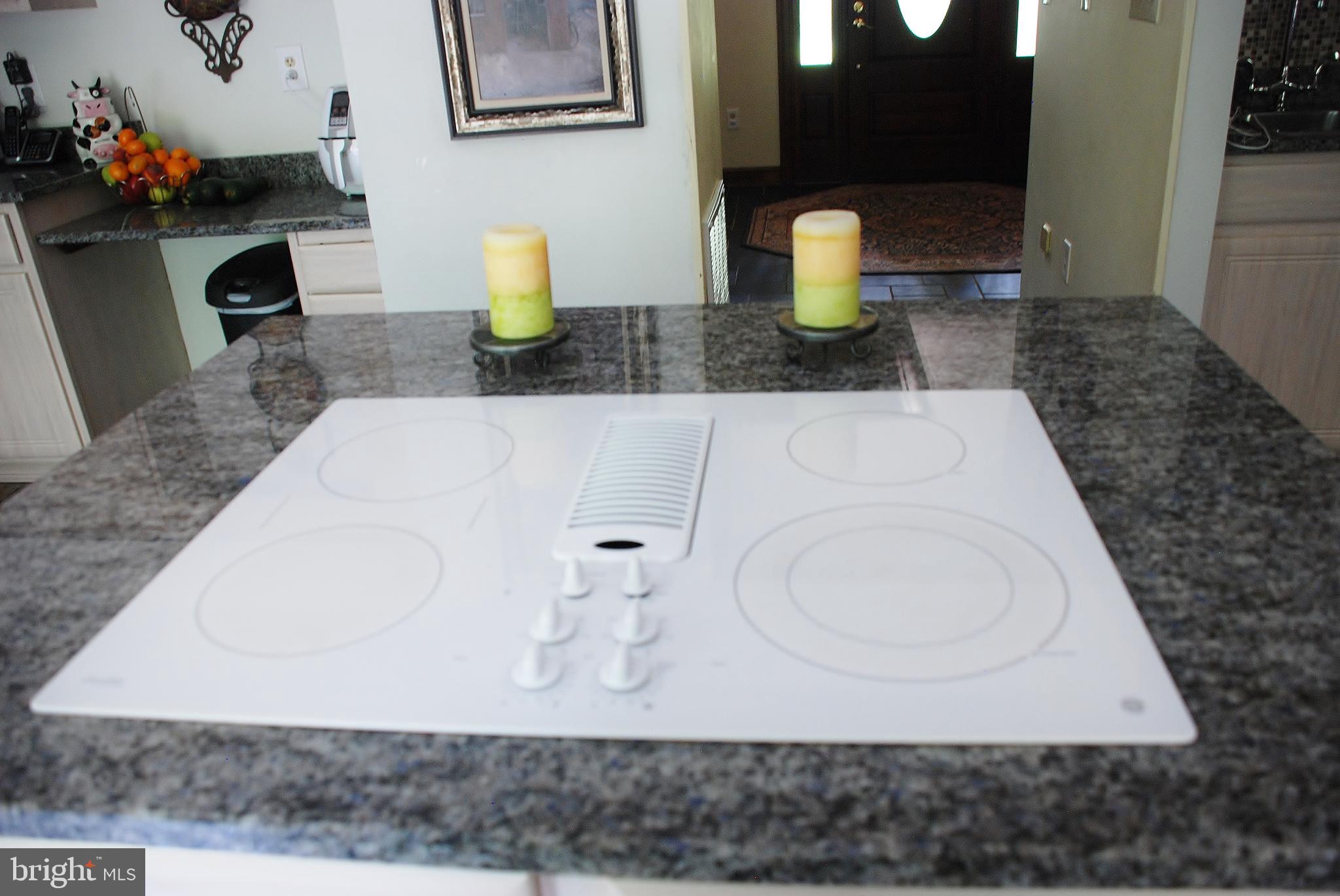 15446 Norman Road Culpeper, VA 22701 - Photo 21 of 146 Flat top stove