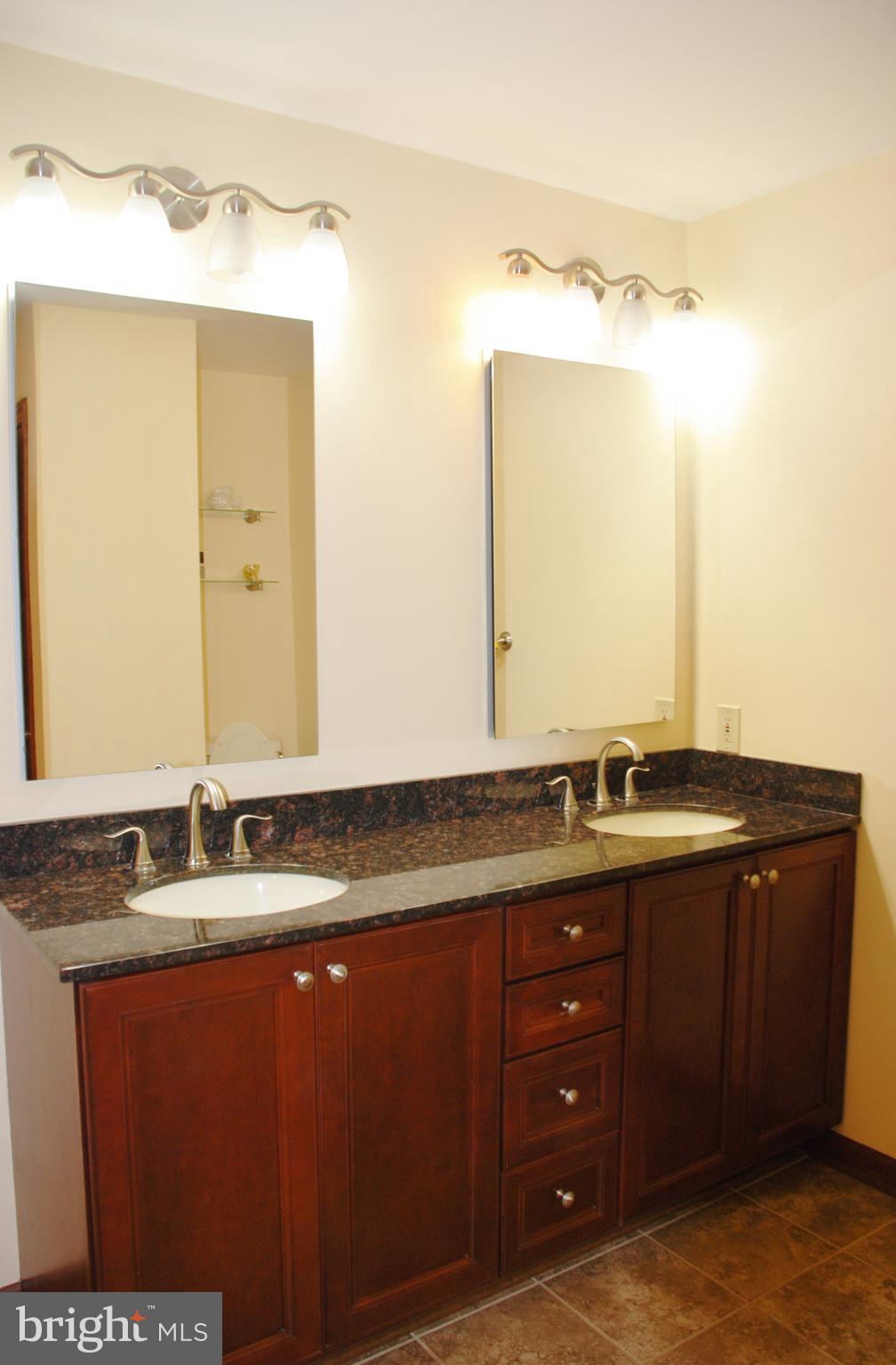 15446 Norman Road Culpeper, VA 22701 - Photo 32 of 146 Master Bath with double vanity