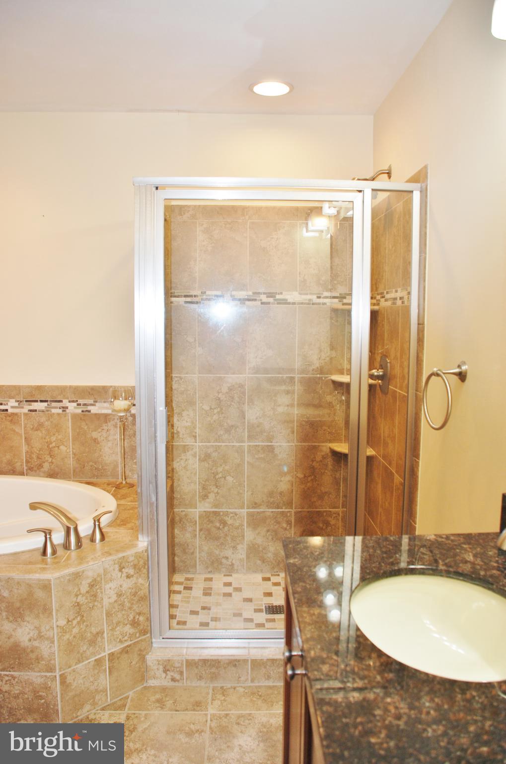 15446 Norman Road Culpeper, VA 22701 - Photo 34 of 146 Master Bath