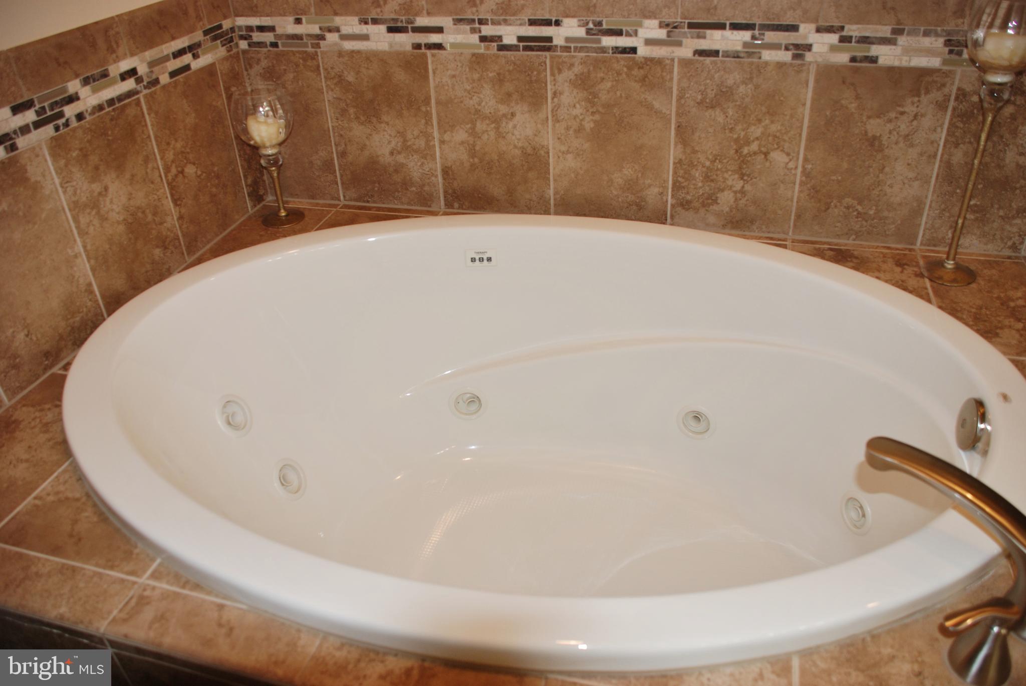 15446 Norman Road Culpeper, VA 22701 - Photo 35 of 146 Master bath with jetted tub