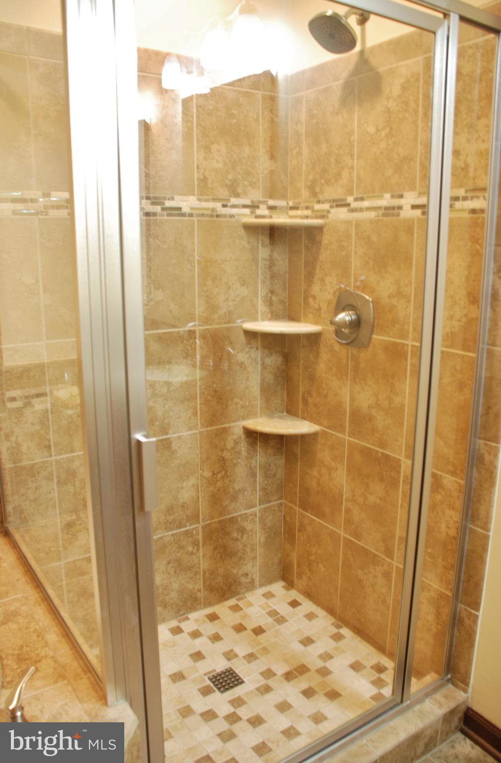 15446 Norman Road Culpeper, VA 22701 - Photo 36 of 146 Master bath with seperate shower