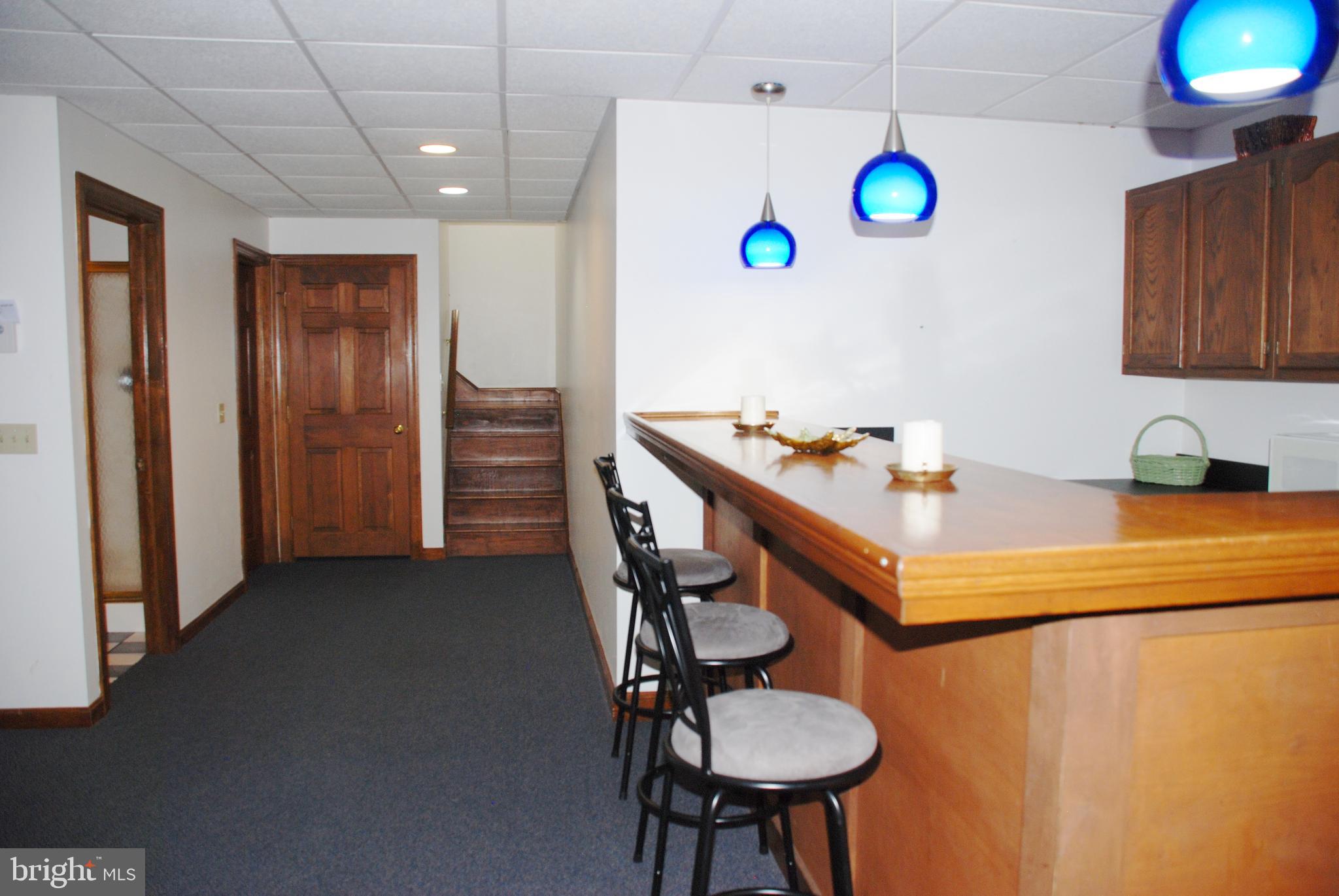 15446 Norman Road Culpeper, VA 22701 - Photo 47 of 146 Wet bar, full bath on left, steps to upper level