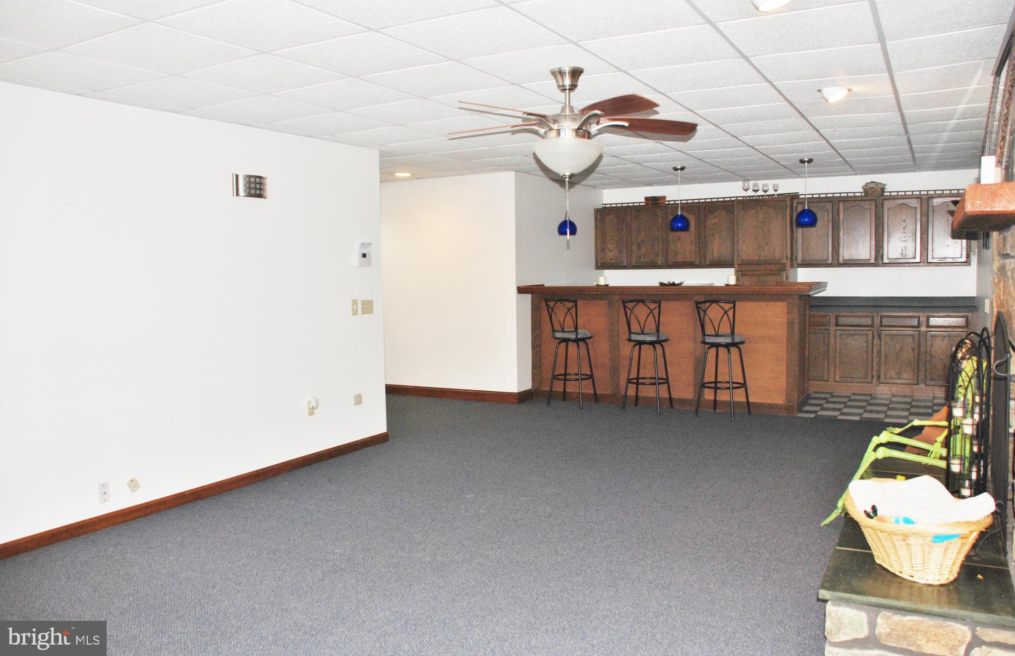 15446 Norman Road Culpeper, VA 22701 - Photo 51 of 146 Family room w/wet bar and stone fireplace