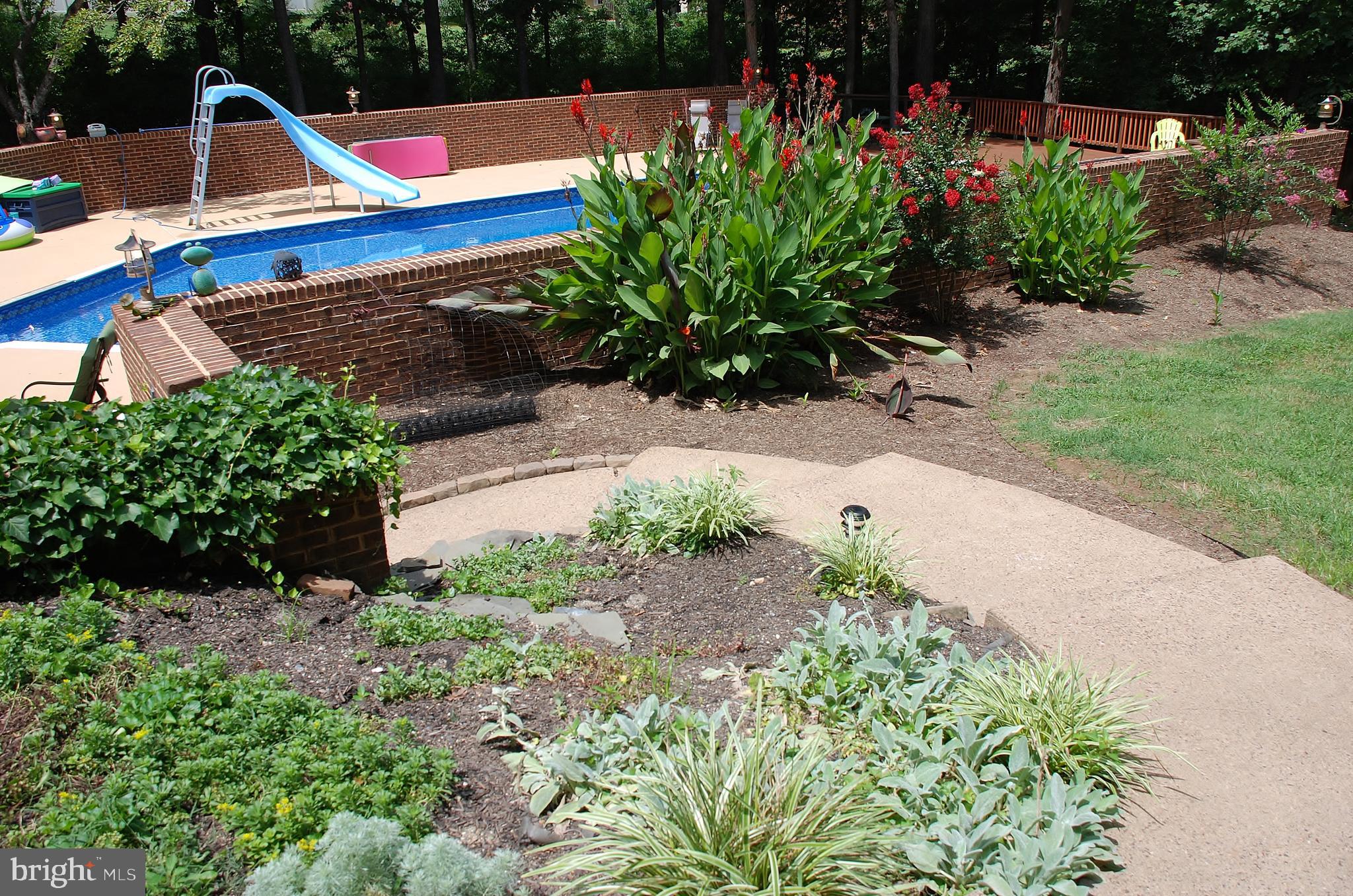 15446 Norman Road Culpeper, VA 22701 - Photo 61 of 146 Beautiful landscaping surrounding pool