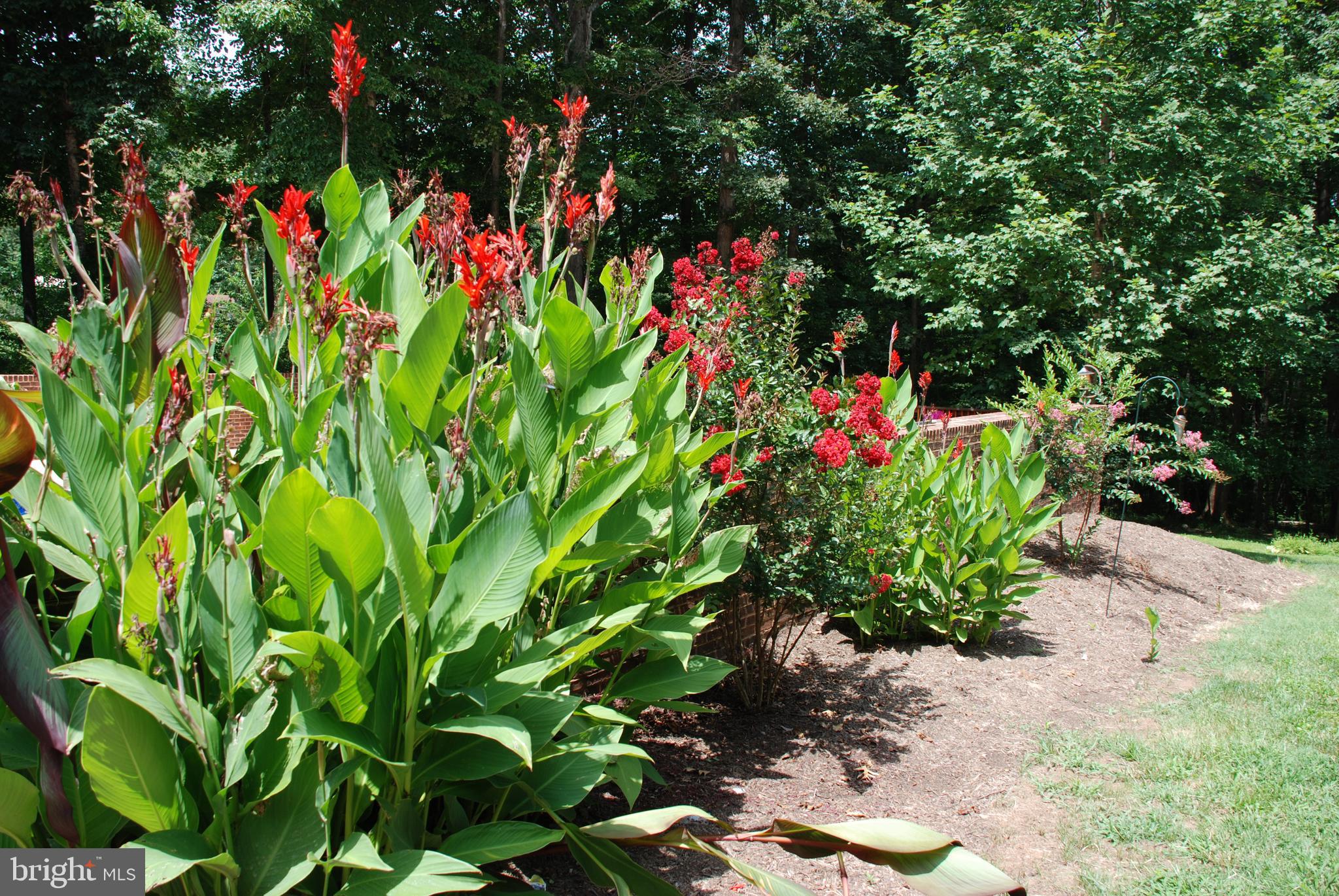 15446 Norman Road Culpeper, VA 22701 - Photo 63 of 146 Pool landscaping