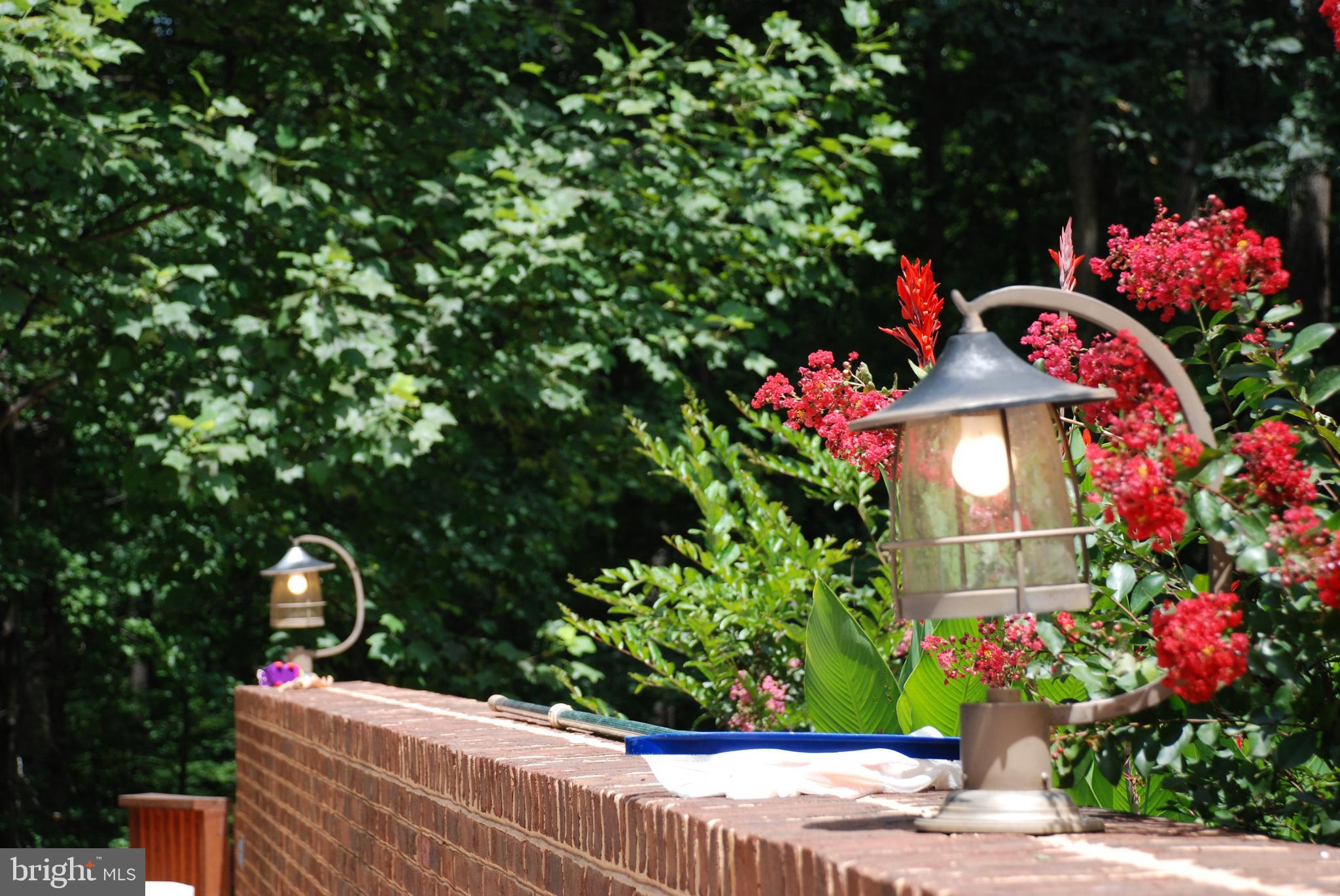 15446 Norman Road Culpeper, VA 22701 - Photo 64 of 146 Pool with lighting