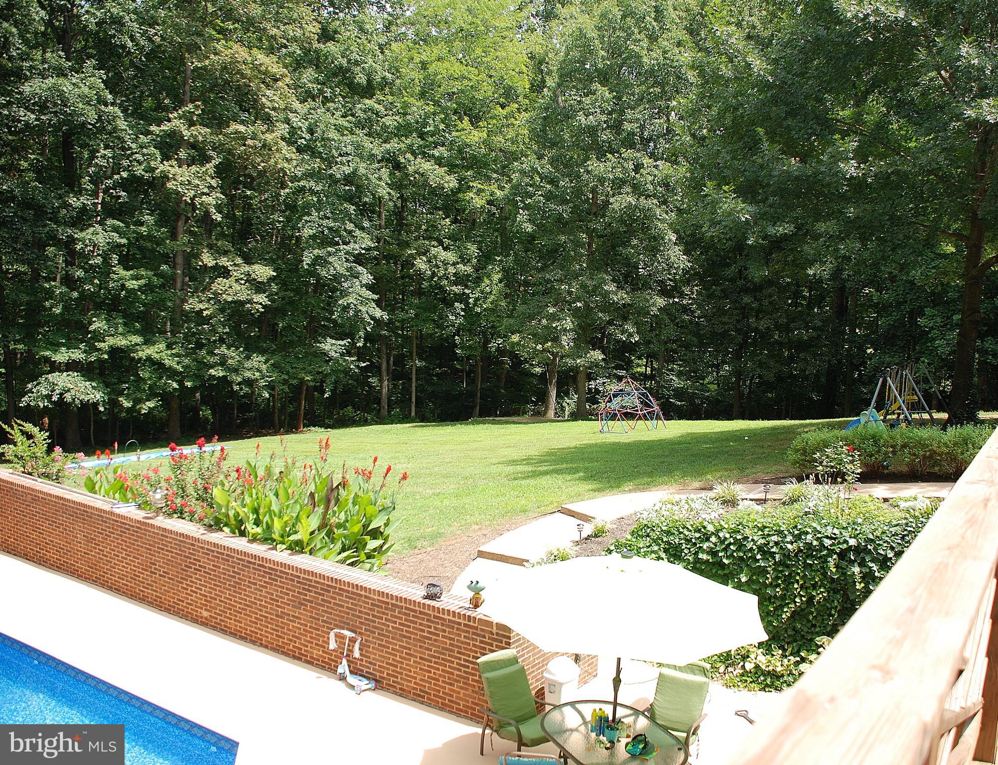 15446 Norman Road Culpeper, VA 22701 - Photo 65 of 146 Rear yard