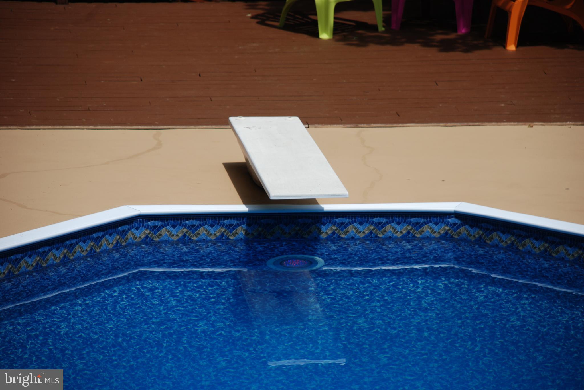 15446 Norman Road Culpeper, VA 22701 - Photo 71 of 146 Pool with diving board