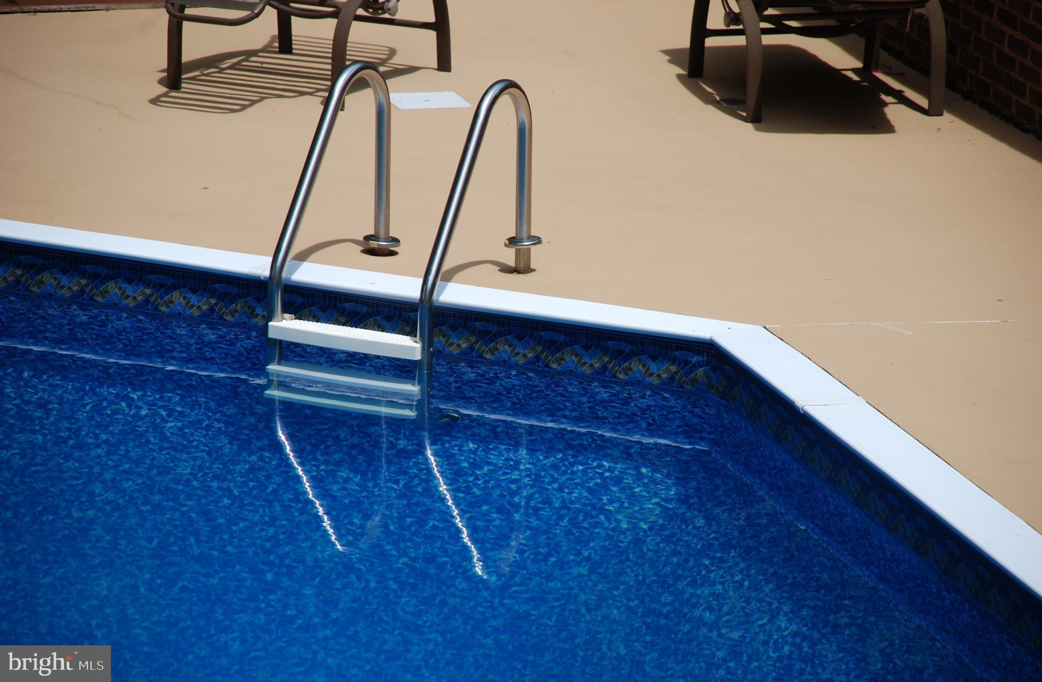 15446 Norman Road Culpeper, VA 22701 - Photo 73 of 146 Pool with steps